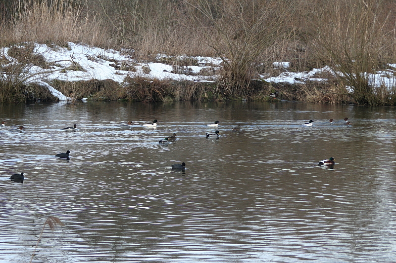 Killikus&reg; Fotographie